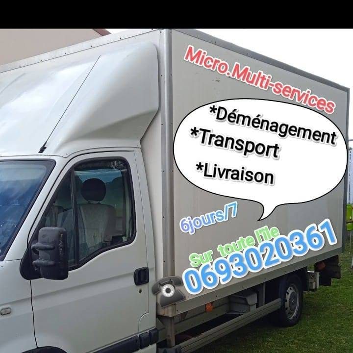 Fourgon caisse lettré Micro Multi-Services, déménagement, transport, livraison